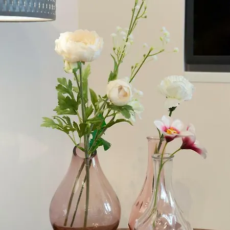Apartamento La Tierra Sur Center Málaga